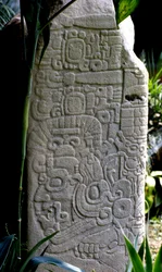 Tikal Stela 28, Frühklassische Periode, 300-600 n. Chr.